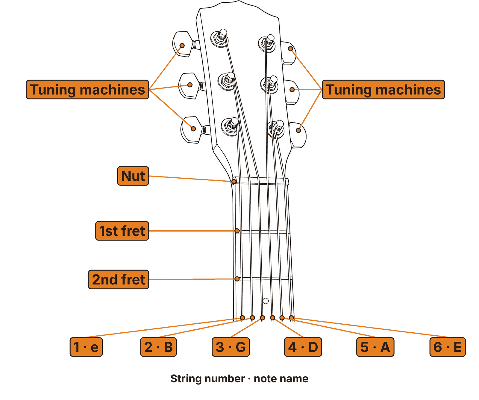 Close-up of a left-handed guitar headstock with the tuning machines, nut, 1st fret and 2nd fret labeled. The six strings are labeled from left to right: 1 e, 2 B, 3 G, 4 D, 5 A, 6 E.