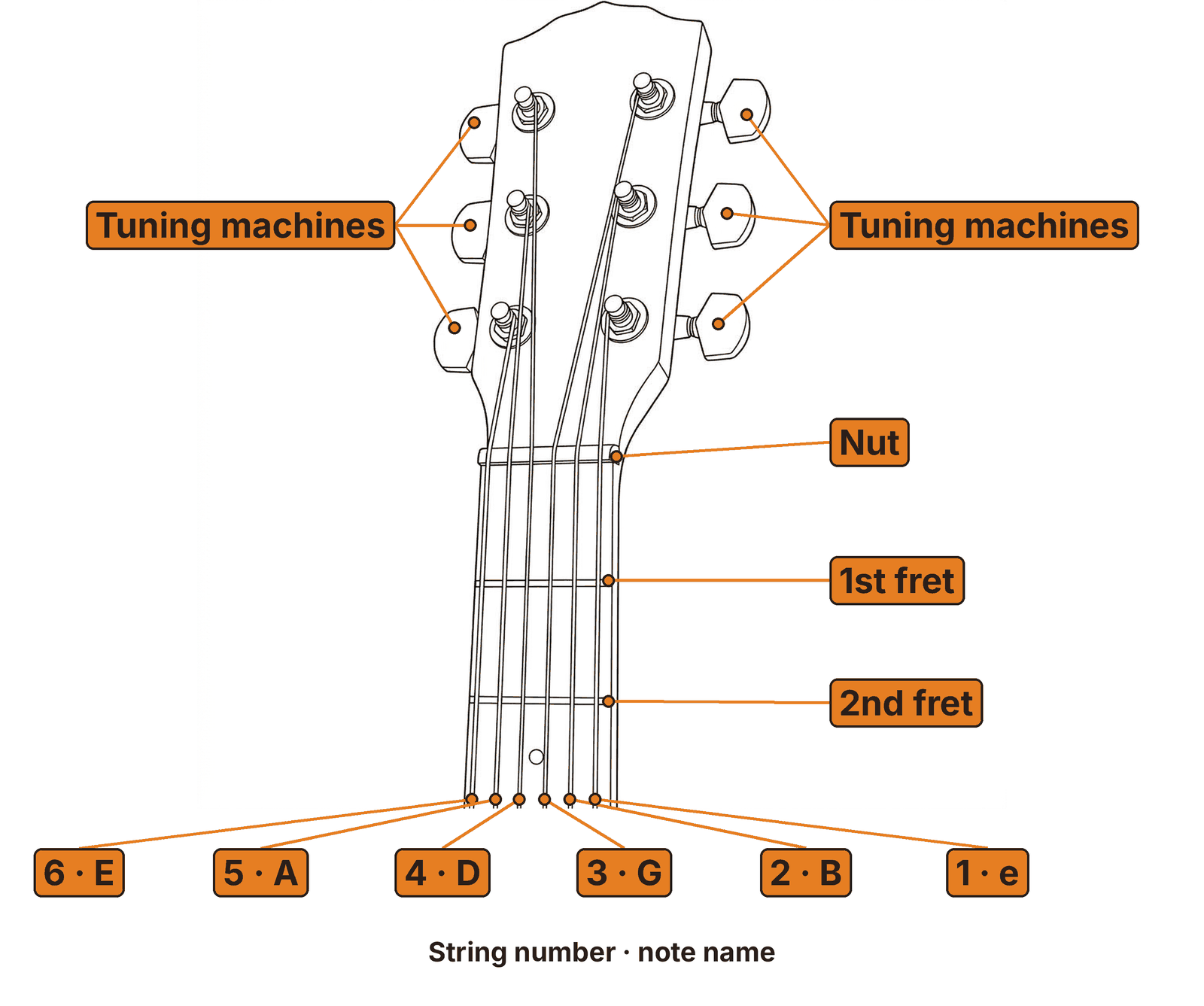 Close-up of a right-handed guitar headstock with the tuning machines, nut, 1st fret and 2nd fret labeled. The six strings are labeled from left to right: 6 E, 5 A, 4 D, 3 G, 2 B, 1 e.